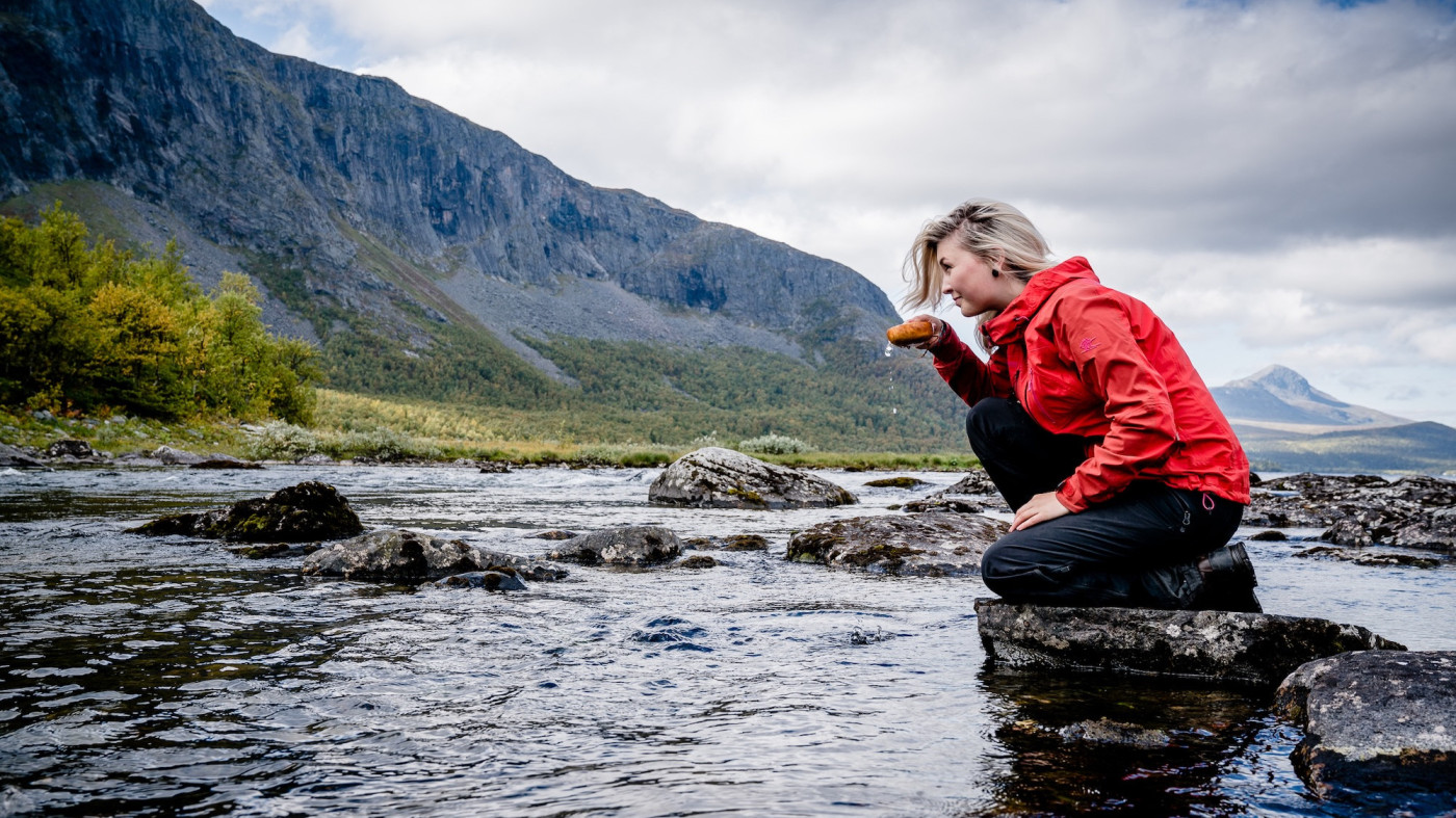Fjällunken – sommarens godaste äventyr i Kittelfjäll! Snöra på skorna för en dag där fjälluft möter lokal mat & dryckglädje. Välj mellan 1, 3 eller 5 km och smaka dig fram genom vår vackra fjällvärld.