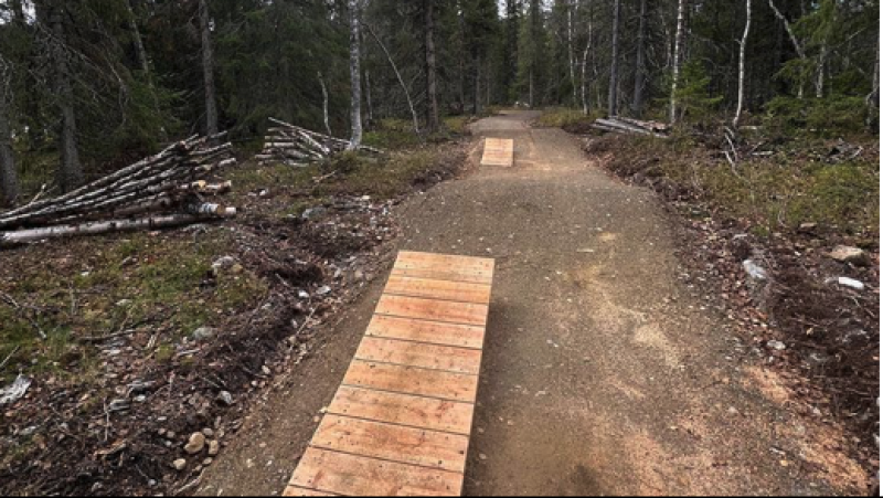 En bana som riktar sig till de allra yngsta med doserade kurvor, boardwalks och en mindre hoppsektion.